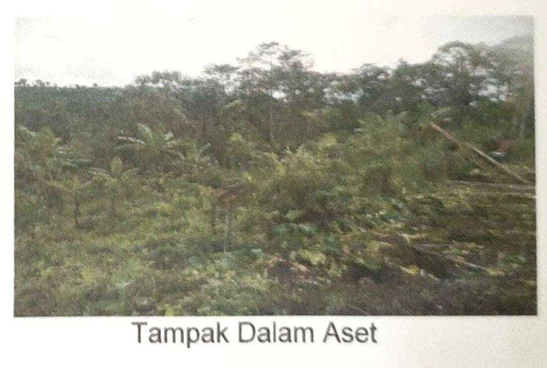 slide_1