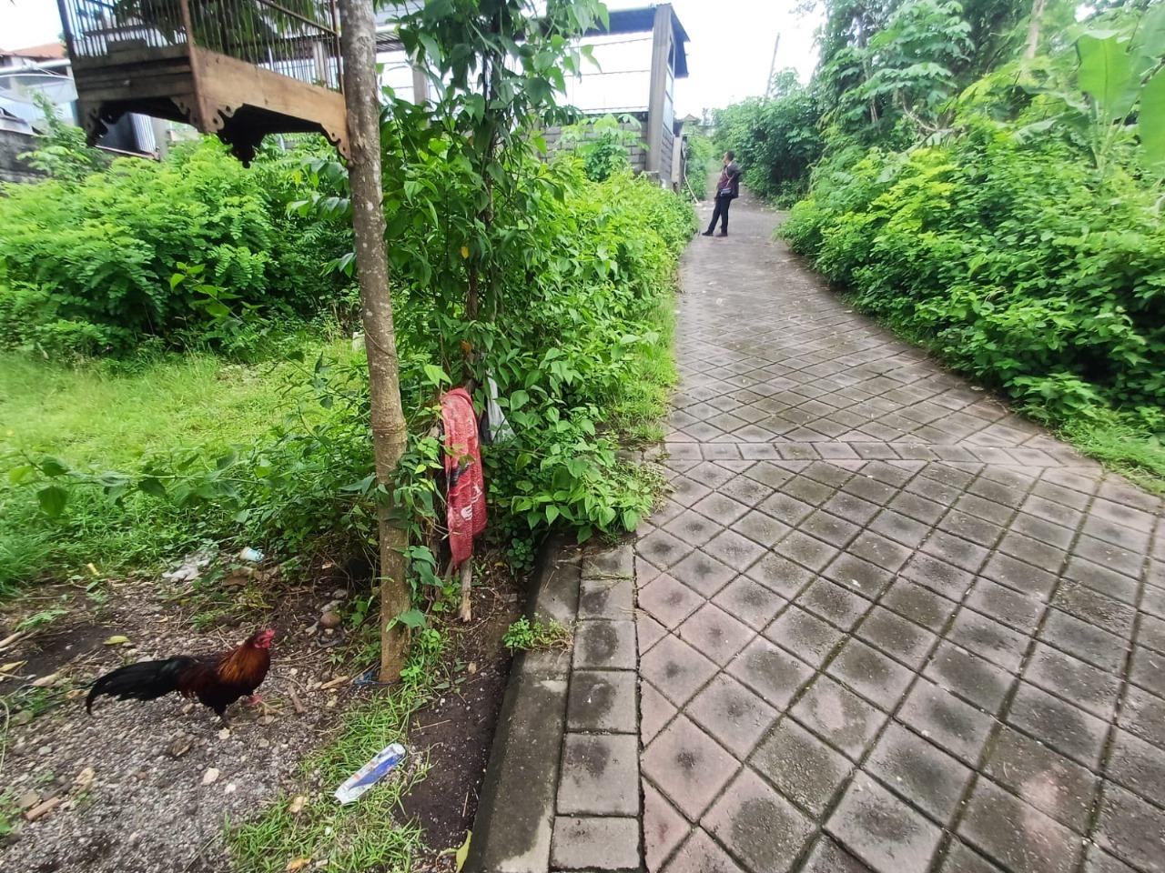 slide_2