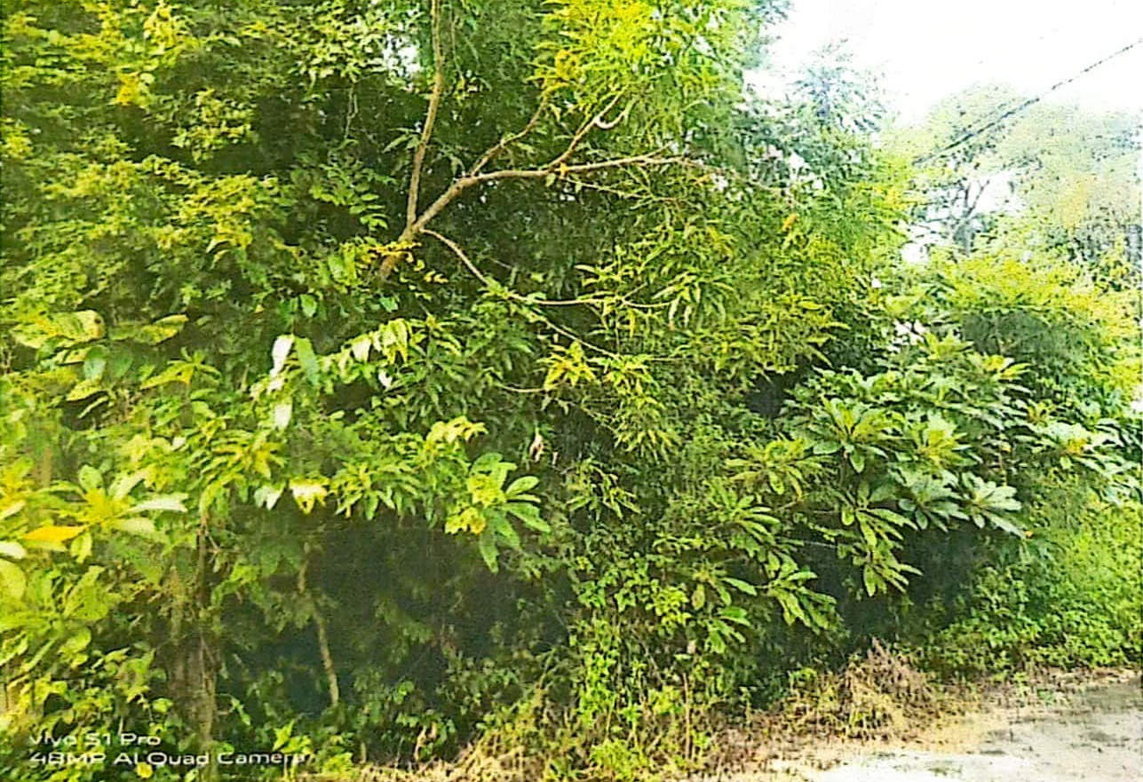 slide_1