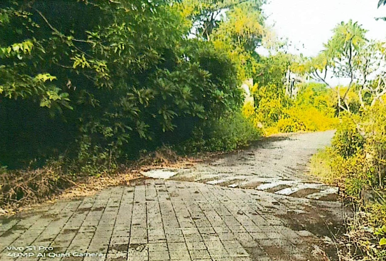 slide_0
