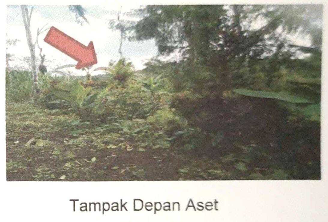 slide_2