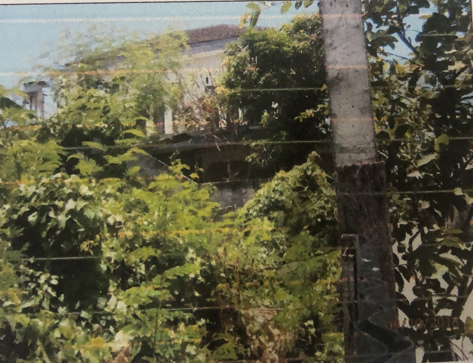 slide_4